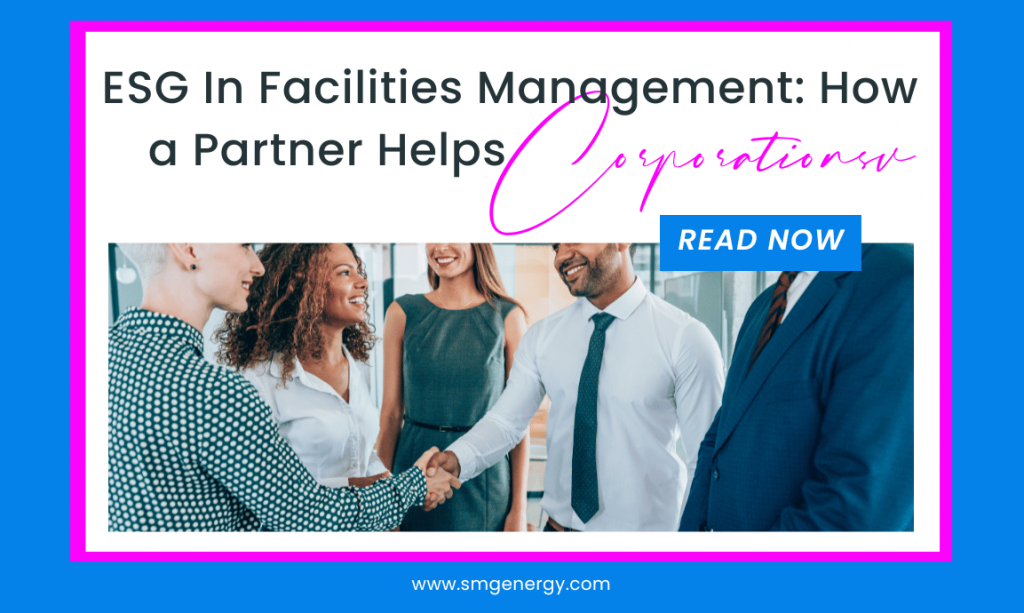 E.S.G. in facilities management: how a partner helps corporations
